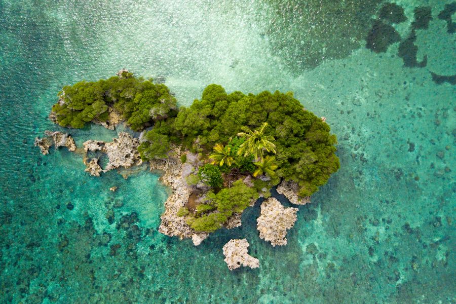 Vue aérienne d'un îlot sauvage recouvert de végétation tropicale dense, entouré d'eaux turquoise cristallines, idéal pour des vacances hors des sentiers battus.